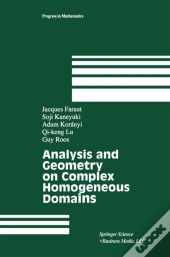 Analysis And Geometry On Complex Homogeneous Domains