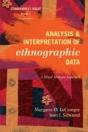 Analysis And Interpretation Of Ethnographic Data - Preview
