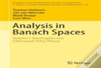Analysis In Banach Spaces