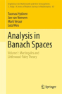 Analysis In Banach Spaces - Preview