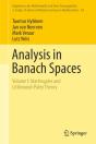 Analysis In Banach Spaces - Preview