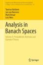 Analysis In Banach Spaces - Preview