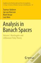 Analysis In Banach Spaces