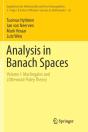 Analysis In Banach Spaces - Preview