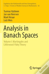Analysis In Banach Spaces