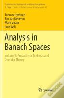 Analysis In Banach Spaces