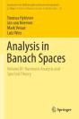 Analysis In Banach Spaces - Preview