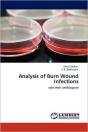 Analysis Of Burn Wound Infections - Preview