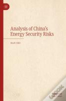 Analysis Of China'S Energy Security Risks