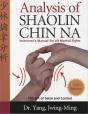 Analysis Of Shaolin Chin Na - Preview