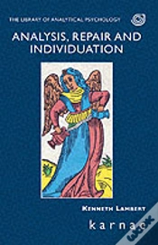 Capa do artigo Analysis, Repair And Individuation