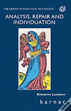 Capa do artigo Analysis, Repair And Individuation