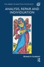 Analysis, Repair And Individuation - Preview