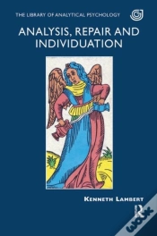 Capa do artigo Analysis, Repair And Individuation