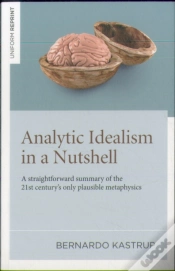 Capa do artigo Analytic Idealism In A Nutshell