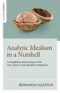 Analytic Idealism In A Nutshell - Preview