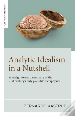 Capa do artigo Analytic Idealism In A Nutshell
