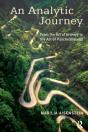 Analytic Journey - Preview