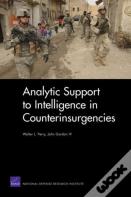 Analytic Support To Intelligence In Counterinsurgencies