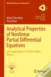 Analytical Properties Of Nonlinear Partial Differential Equations