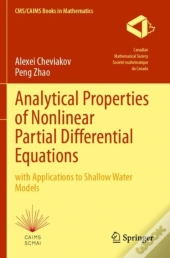Analytical Properties Of Nonlinear Partial Differential Equations