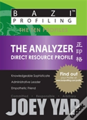 Capa do artigo Analyzer
