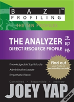 Capa do artigo Analyzer