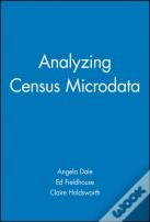 Analyzing Census Microdata
