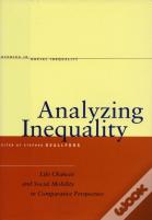 Analyzing Inequality
