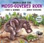 Anansi And The Moss-Covered Rock - Preview
