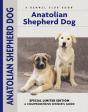 Anatolian Shepherd Dog - Preview