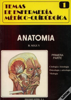 Capa do artigo Anatomia 1