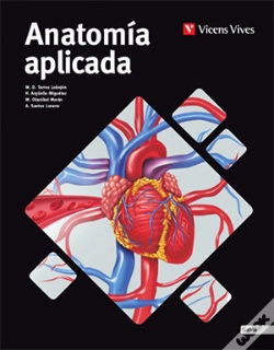 Capa do artigo Anatomia Aplicada (Galicia) Aula 3d