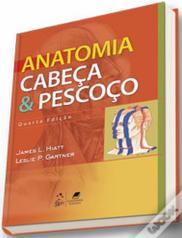 Anatomia Cabeça & Pescoço