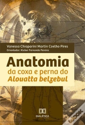 Capa do artigo Anatomia Da Coxa E Perna Do Alouatta Belzebul