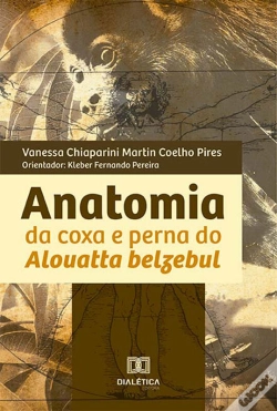 Capa do artigo Anatomia Da Coxa E Perna Do Alouatta Belzebul