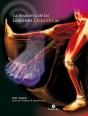 Anatomía De Las Lesiones Deportivas, La (Color) - Preview