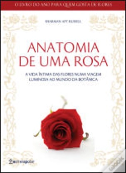 Capa do artigo Anatomia de Uma Rosa