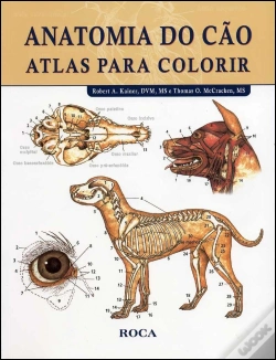 Capa do artigo Anatomia do Cão - Atlas para Colorir