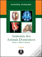Capa do artigo Anatomia dos Animais Domésticos