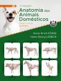 Anatomia dos Animais Domésticos - Preview