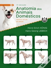 Capa do artigo Anatomia dos Animais Domésticos