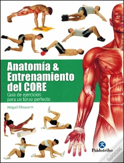 Capa do artigo Anatomía & Entrenamiento Del Core (Color)