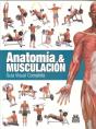 Anatomía & Musculación. Guía Visual Completa (Color) - Preview