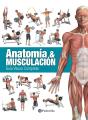 Anatomía & Musculación - Preview