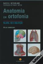 Anatomia em Ortofonia