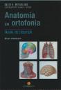 Anatomia em Ortofonia - Preview
