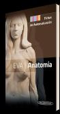 Anatomia Fichas De Autoevaluacion - Preview
