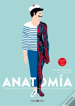 Capa do artigo Anatomía