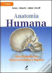 Capa do artigo Anatomia Humana